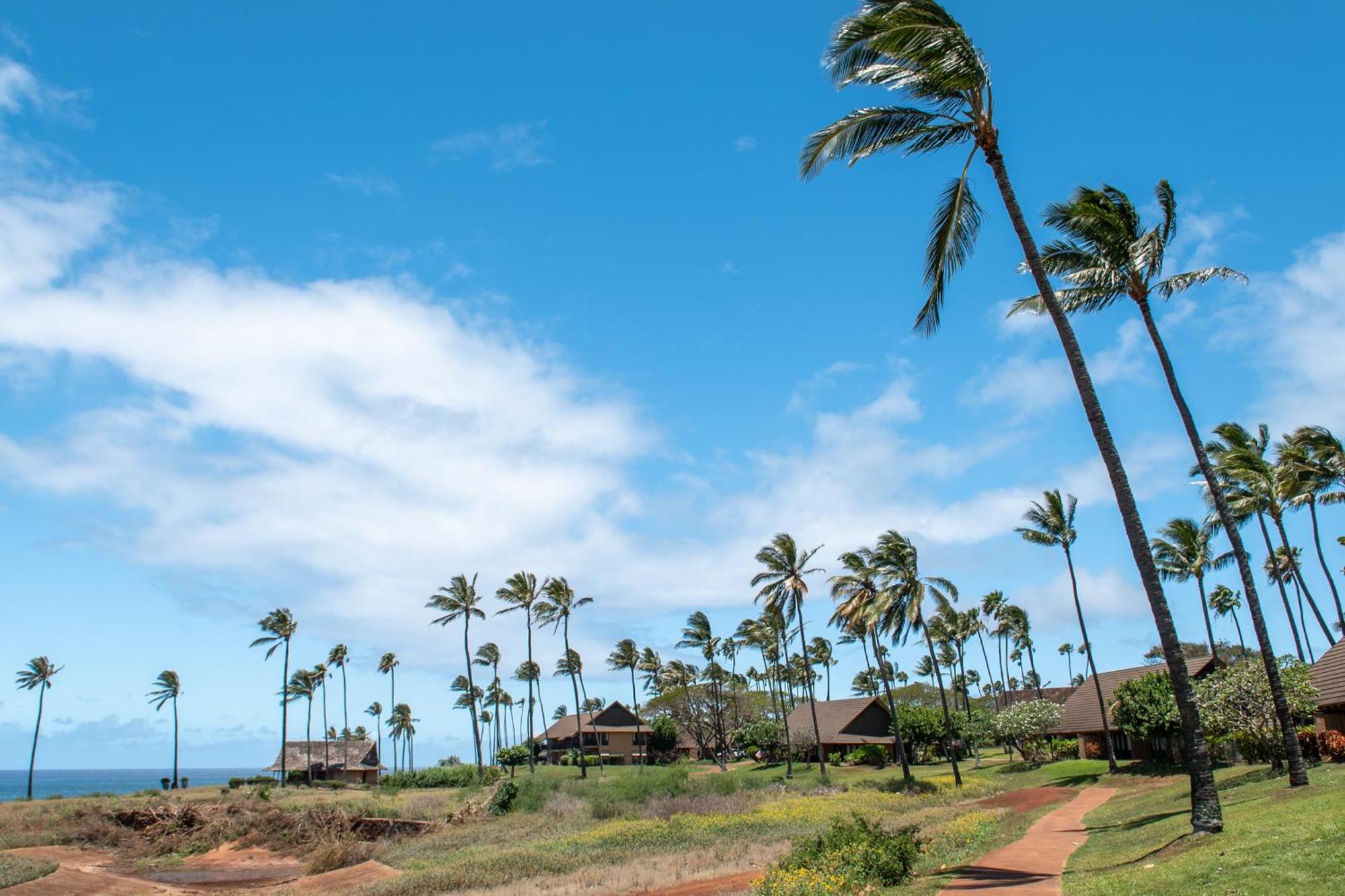 Kepuhi Beach Resort Maunaloa Quarto foto