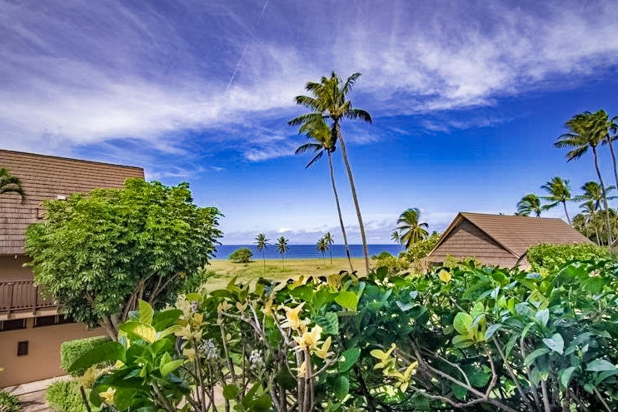 Kepuhi Beach Resort Maunaloa Quarto foto
